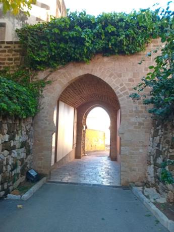 Chalet adosado en camino Real de Gandia