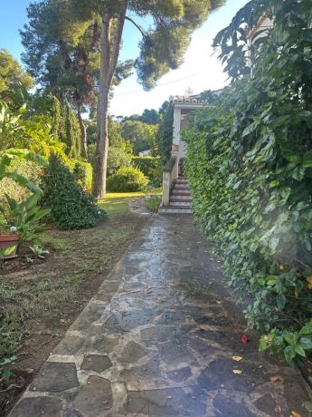 Chalet en calle del Eucaliptus