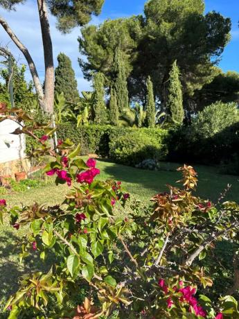 Chalet en calle del Eucaliptus