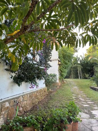 Chalet en calle del Eucaliptus