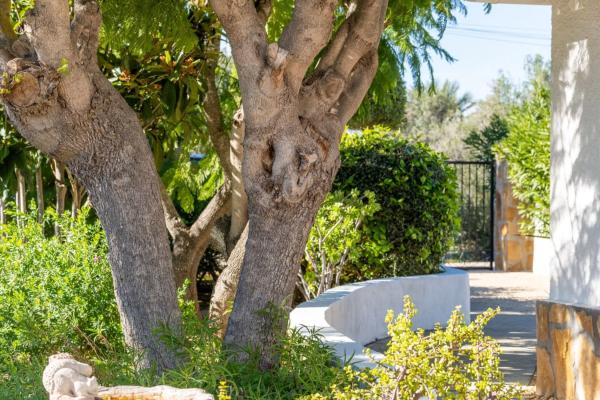 Casa independiente en calle de la Penyaparda