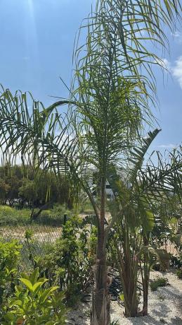 Piso en calle Cannes