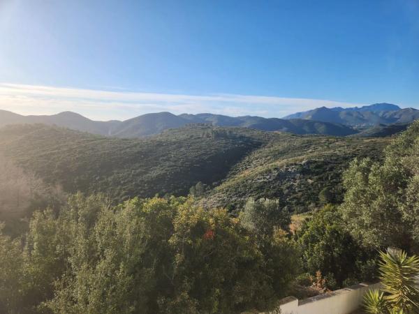 Casa independiente en calle de Miramar, 12