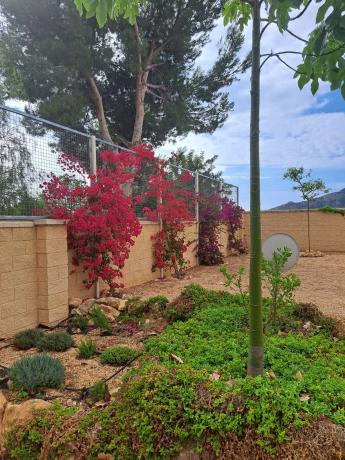 Casa independiente en Partida el Planet, 78