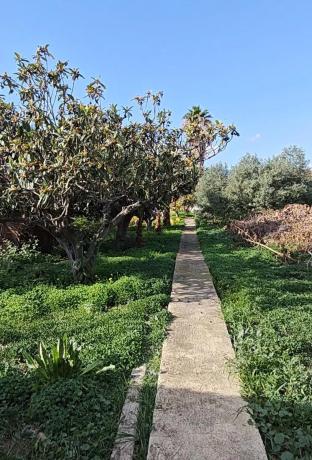 Casa independiente en Partida el Pla de Castell