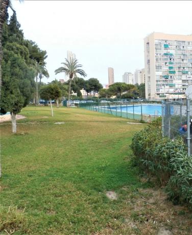 Estudio en Pueblo Levante