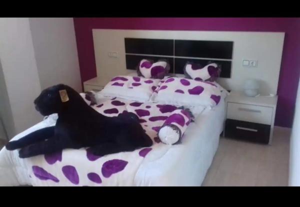 Piso en avenida Tellerola, 2