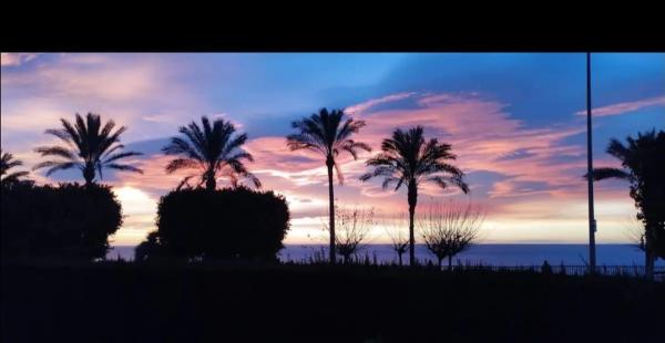 Piso en avenida Tellerola, 2