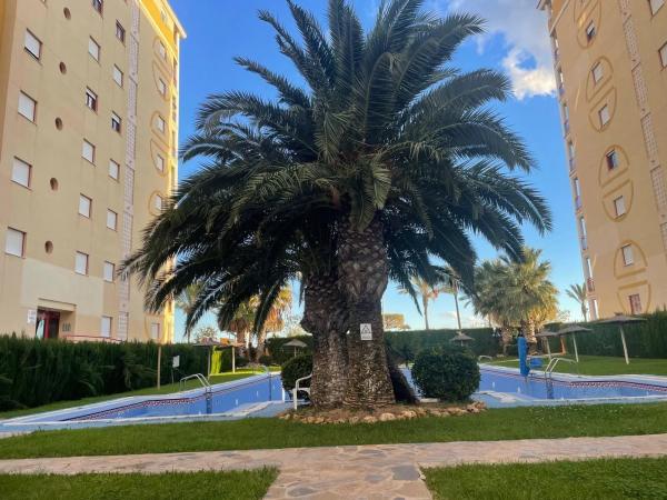 Piso en avenida Riu Torres