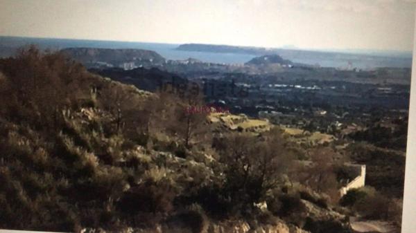 Finca rústica en Partida Pla, 2