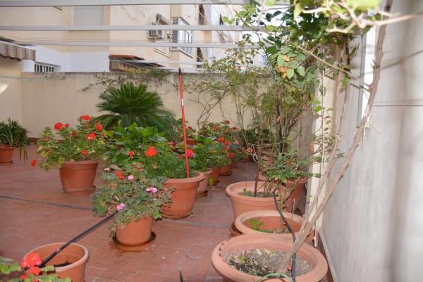 Piso en calle Venezuela, 10