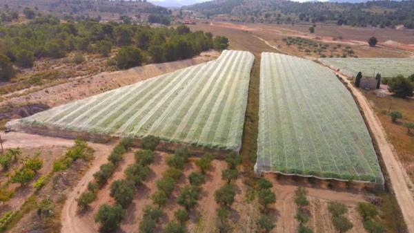 Casa independiente en C4rf+x9