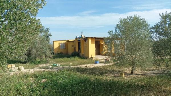 Finca rústica en Huerta Mayor, 99