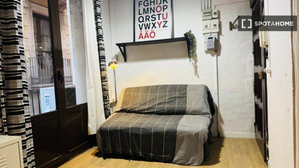 Estudio en alquiler en Sant Pere, Barcelona
