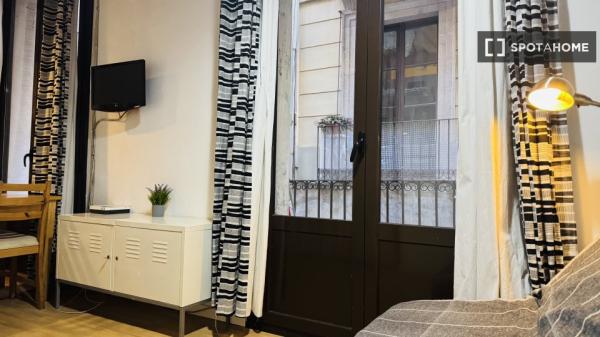 Estudio en alquiler en Sant Pere, Barcelona