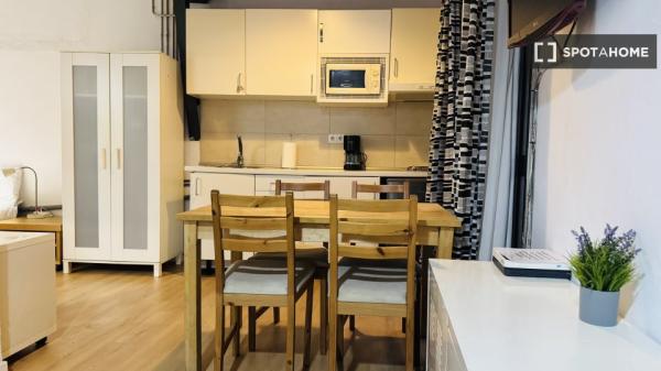 Estudio en alquiler en Sant Pere, Barcelona