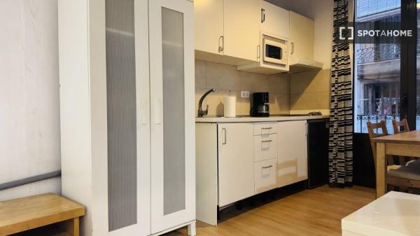 Estudio en alquiler en Sant Pere, Barcelona