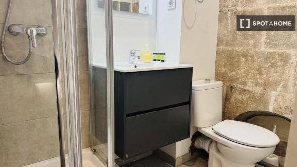 Estudio en alquiler en Sant Pere, Barcelona