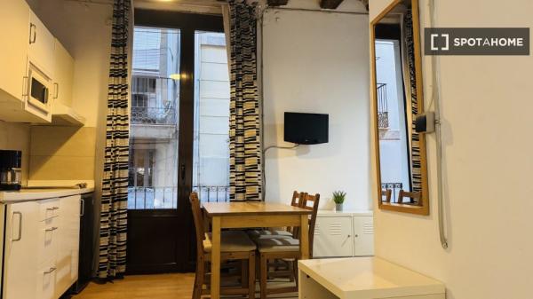 Estudio en alquiler en Sant Pere, Barcelona