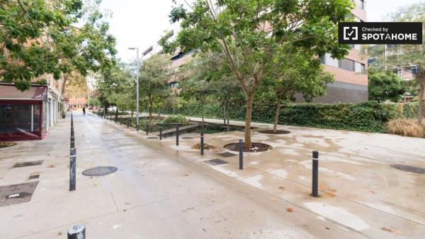 Estudio en barcelona