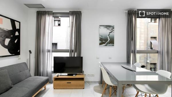 Apartamento de 2 dormitorios en alquiler en La Barceloneta