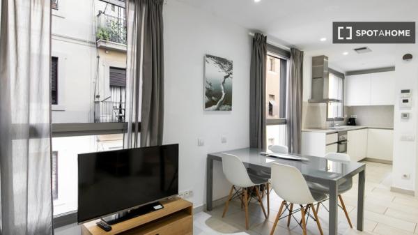 Apartamento de 2 dormitorios en alquiler en La Barceloneta