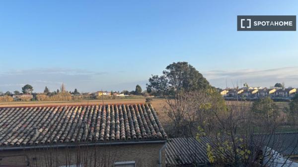 Piso de 2 dormitorios en alquiler en Zaragoza