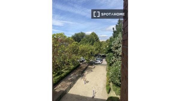 Se alquila habitación en piso compartido de 4 habitaciones en Barrio Oeste, solo estudiantes