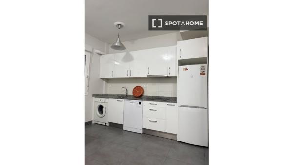 Chambre en colocation à louer, San Pedro de Deustu
