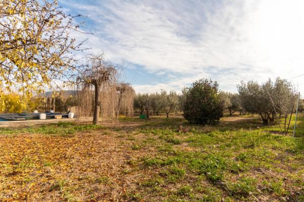 Casa independiente en carretera Biar