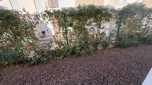 Casa independiente en calle Dolores, 1