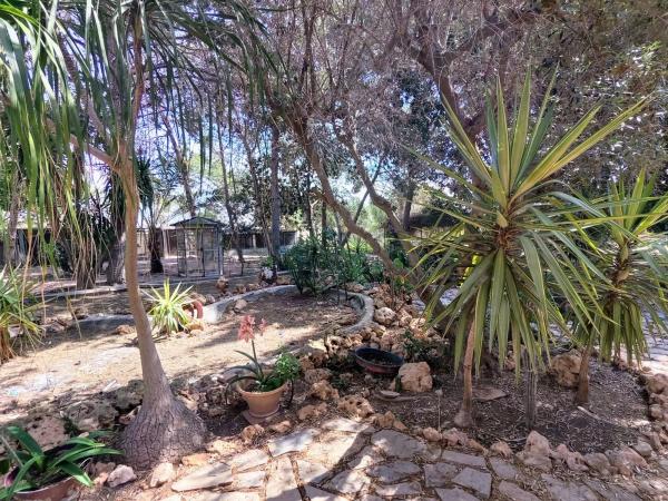 Casa rural en carretera de Rebate, 2