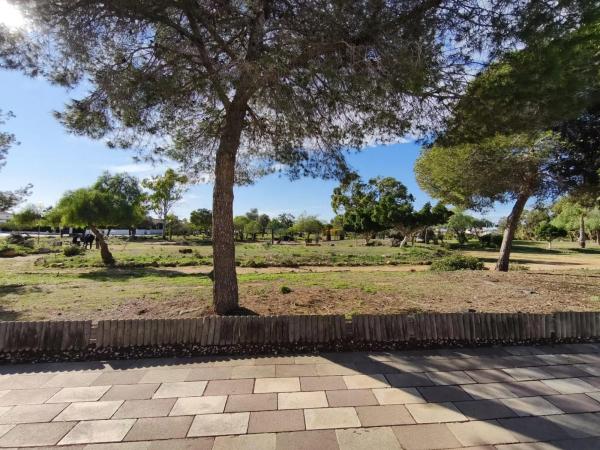 Casa independiente en calle Purcell, 253