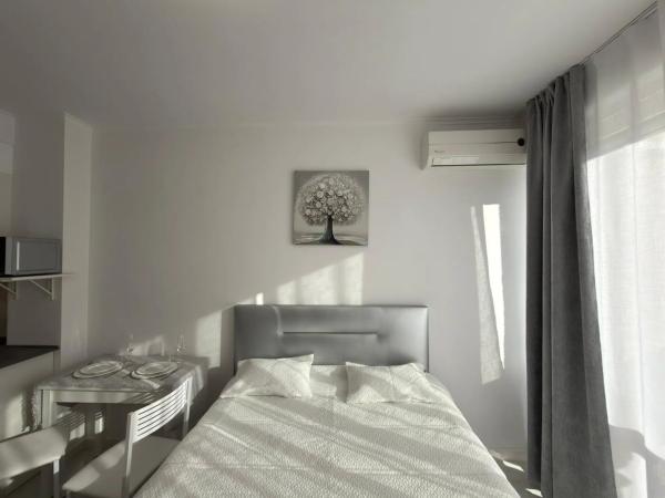 Estudio en Barrio Playa de los Locos