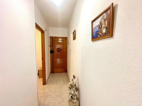 Piso en calle Patricio Zammit, 48