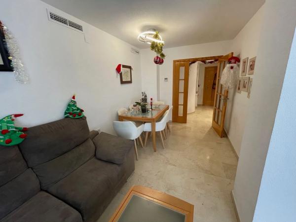 Piso en avenida Esportista Miriam Blasco