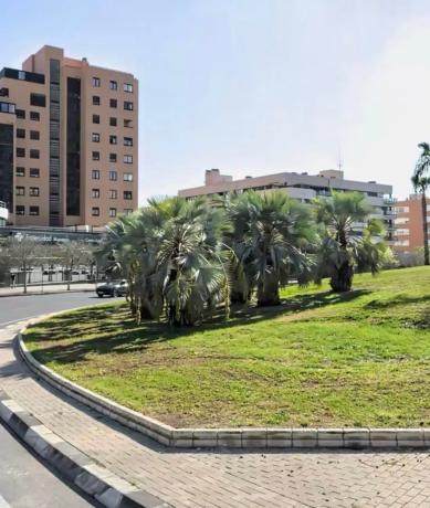 Piso en calle Pintor Antonio Amorós