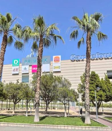 Piso en calle Pintor Antonio Amorós