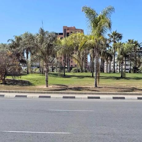 Piso en calle Pintor Antonio Amorós