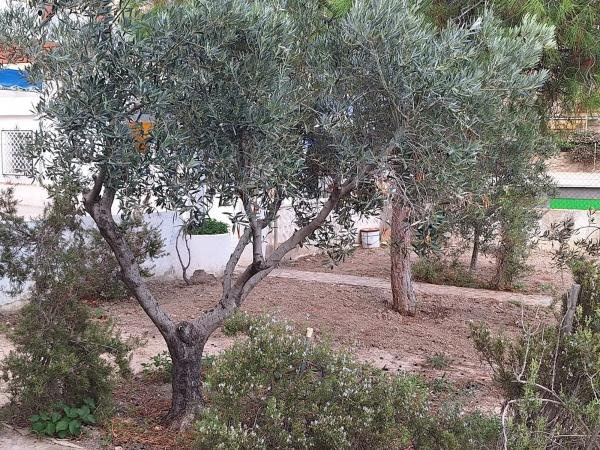 Chalet adosado en calle del Timonet, 6