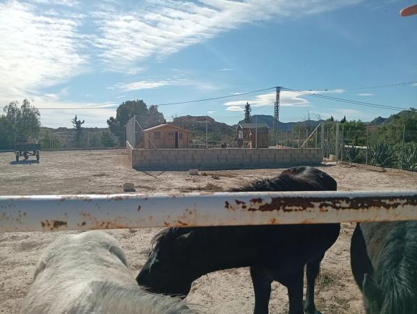 Casa independiente en calle de Feliu