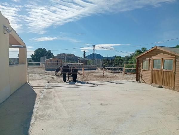 Casa independiente en calle de Feliu