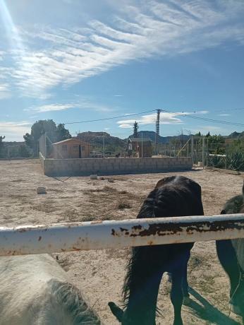 Casa independiente en calle de Feliu