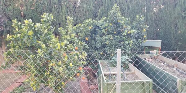 Casa independiente en Moralet, 1