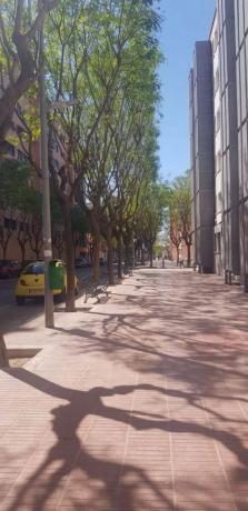 Piso en avenida 3 de Abril de 1979