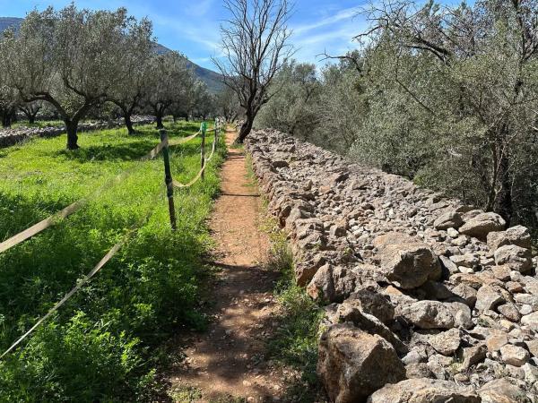Casa independiente en camino del Barranquet