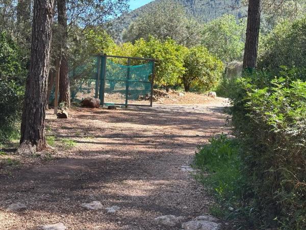 Casa independiente en camino del Barranquet