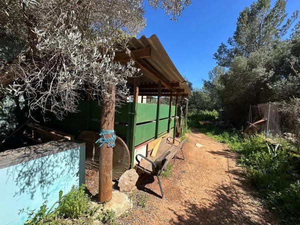 Casa independiente en camino del Barranquet