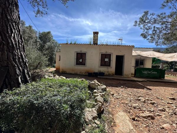 Casa independiente en camino del Barranquet