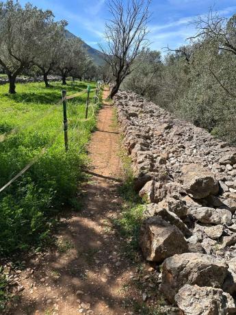 Casa independiente en camino del Barranquet
